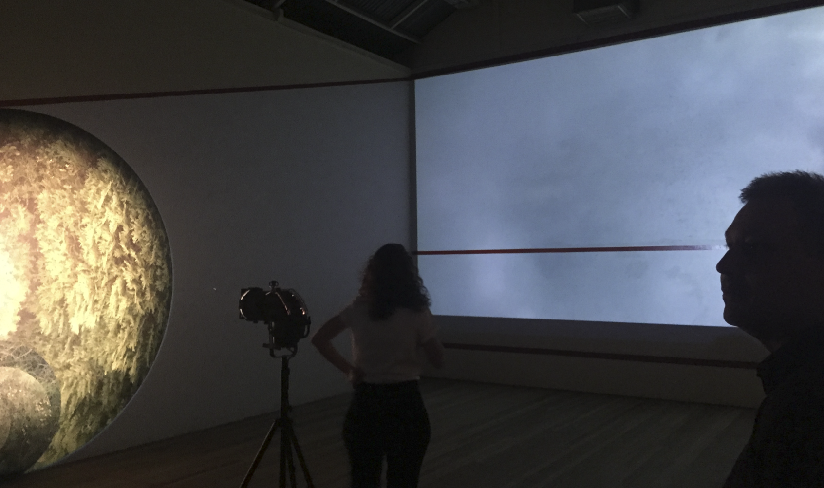 Traverse , 2015 (installation detail) Single Channel video 01:11; vinyl wallpaper, 3000mm diameter; chromogenic print/photo collage on plywood 1100mm diameter Inland Residency Program ildura Palimpsest Biennale #10 2015