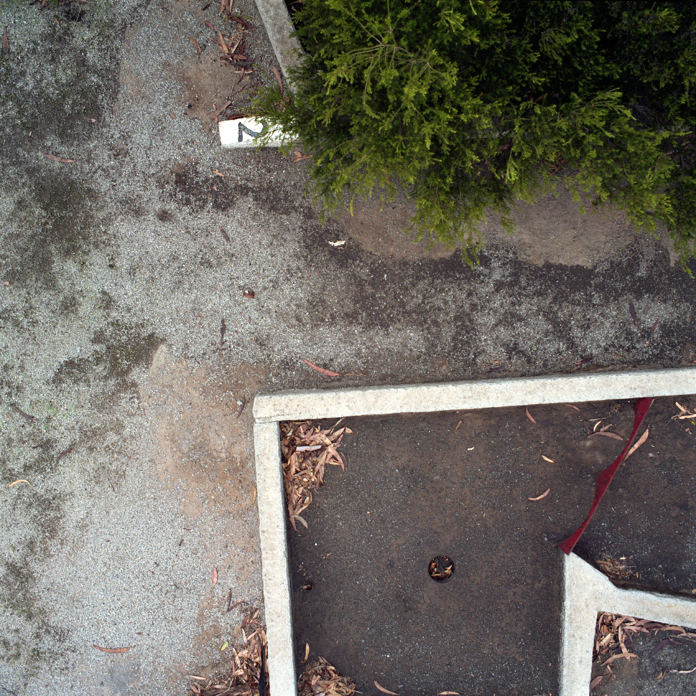 Frontyards #3 2014 inkjet print on vinyl 200 x 200 cm