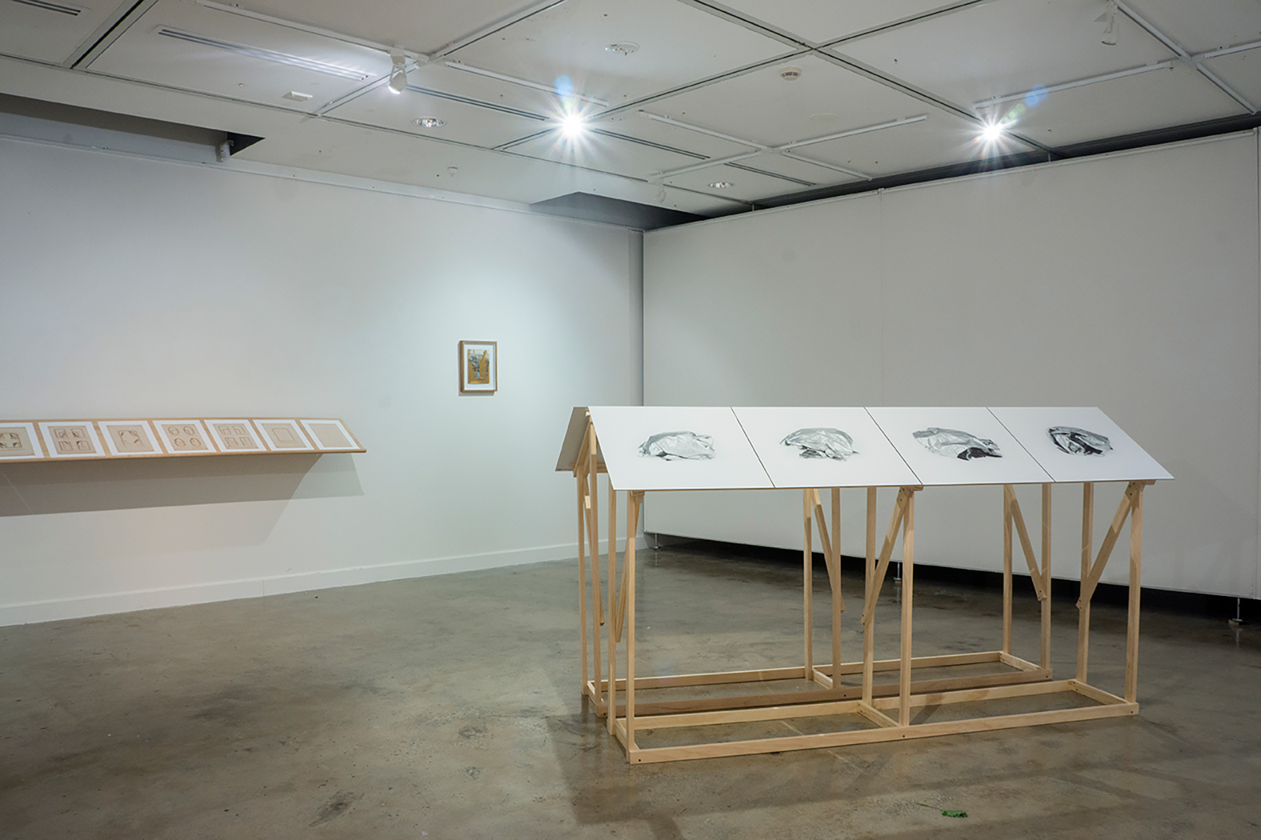    Bringing the distance near   2014  installation view 