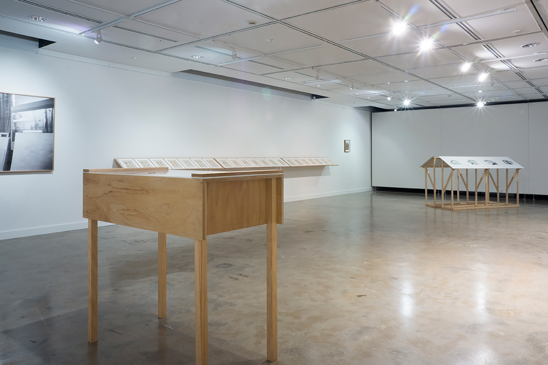    Bringing the distance near     2017  installation view 