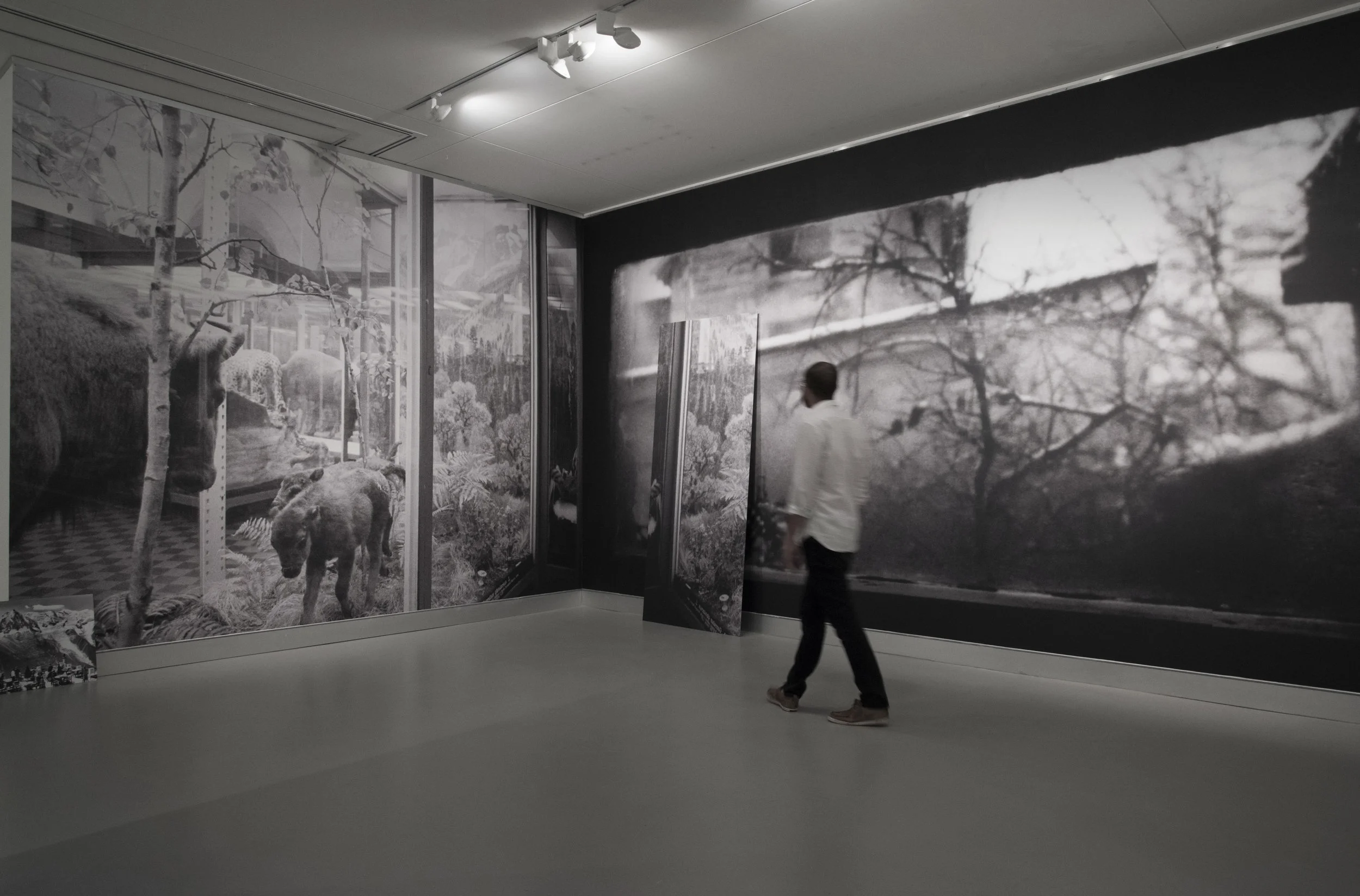   Threshold , 2018 installation comprising two latex-based ink-jet prints on wall 331x421cm, 321x621cm; and two latex-based ink-jet prints on aluminium 50x50cm, 100x240cm  In the exhibition  Nostalgia, it’s not what it used to be!  Curator: Diana Robson, Hawkesbury Regional Gallery 