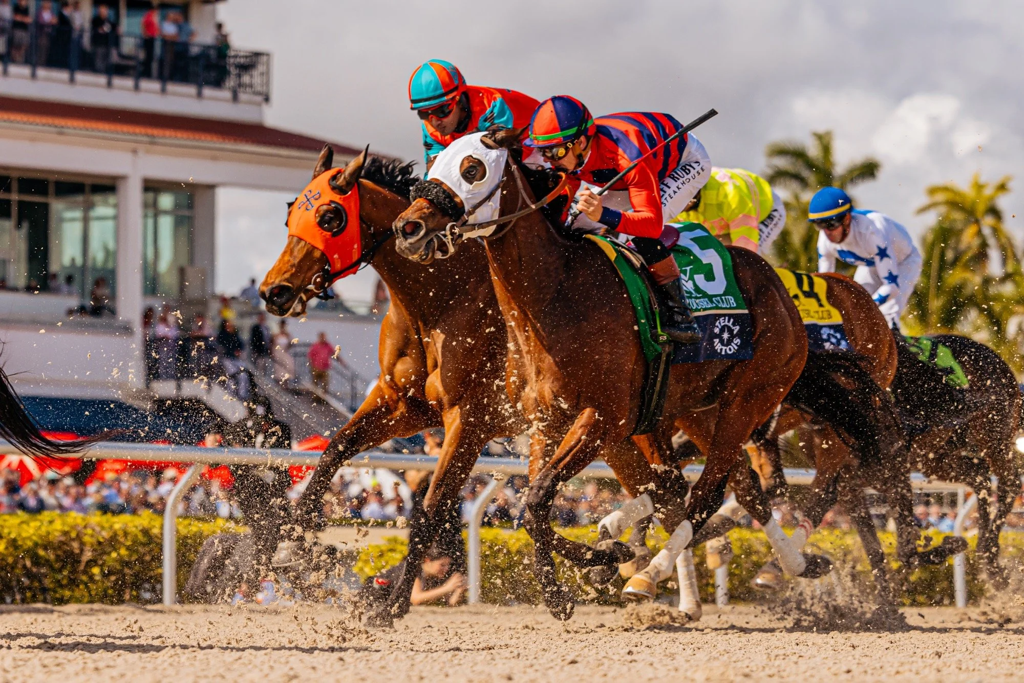 PEGASUS WORLD CUP 2026