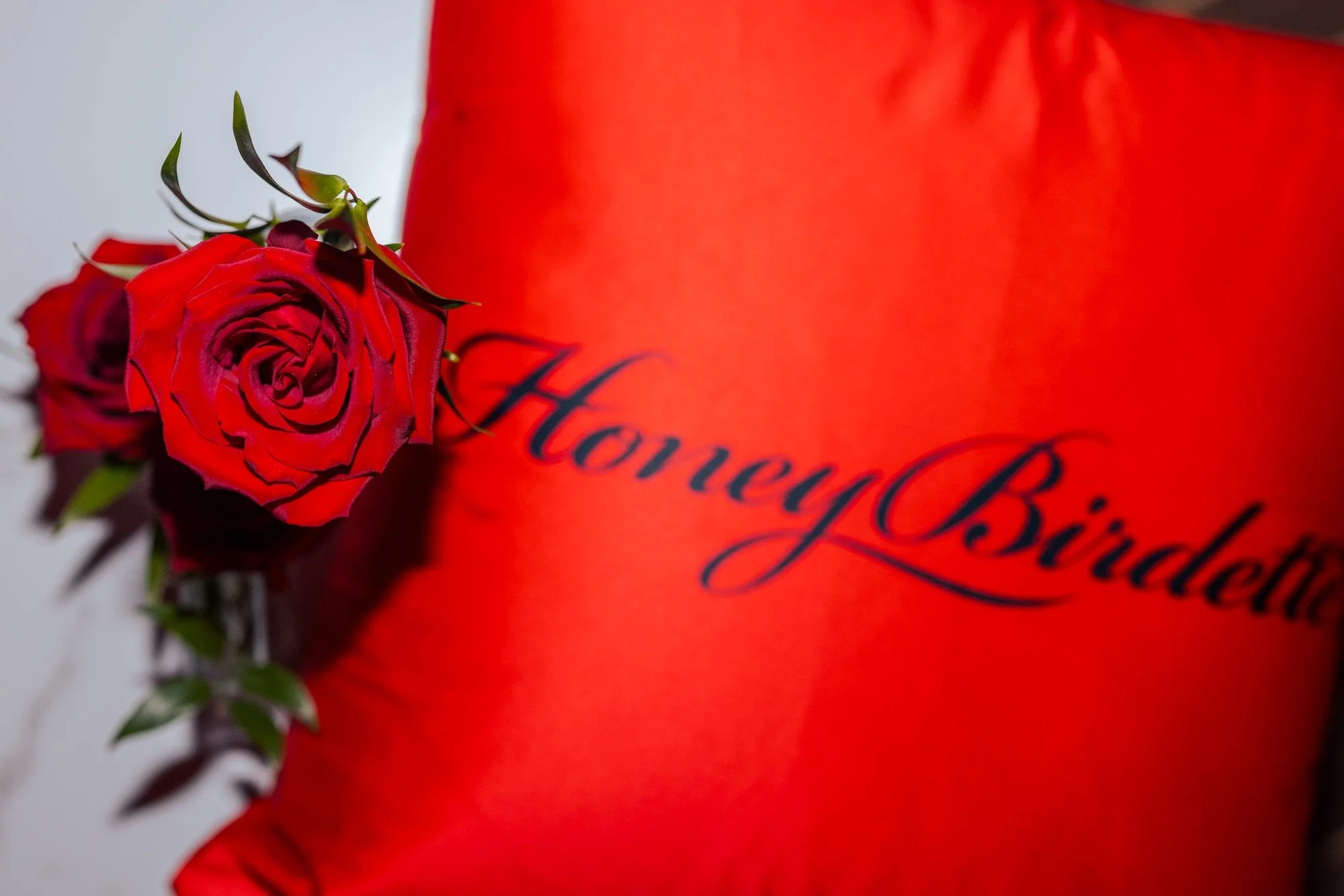 HONEY BIRDETTE POP-UP