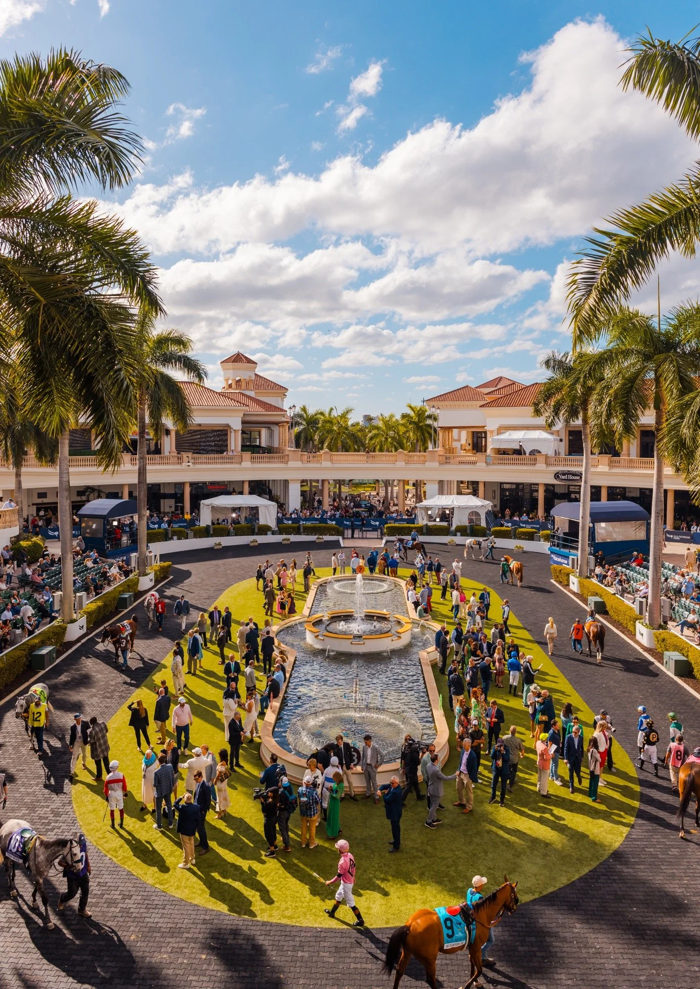 PEGASUS WORLD CUP 2025