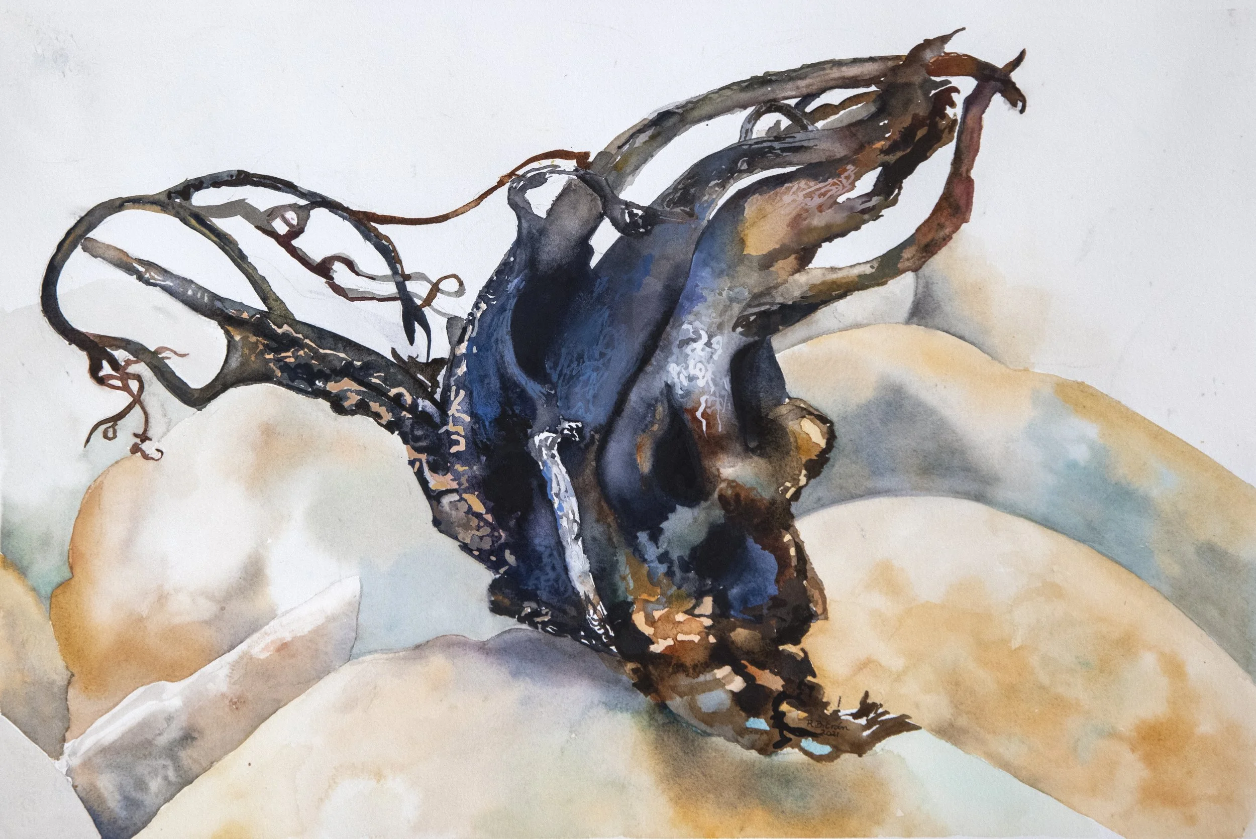 2021-Remains of a Kelp-Watercolor on Arches 140 lb cold press paper-15.0 x 22.2 in-38,0 x 56,5 cm.jpg