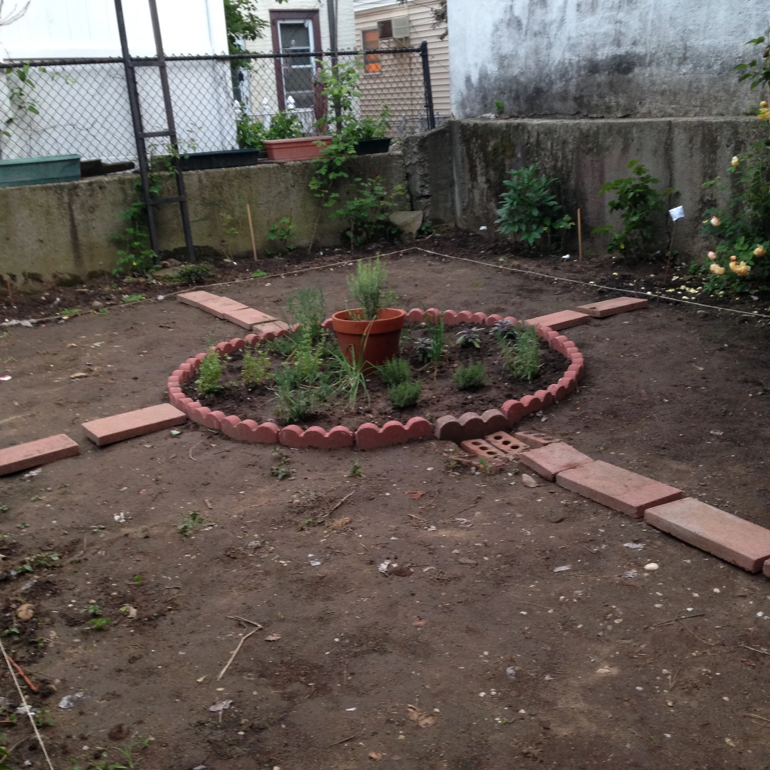Before - the garden on June 9th