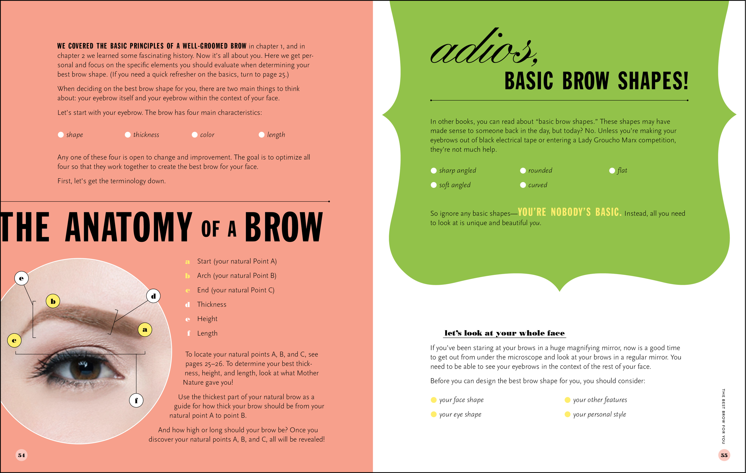 benefit_brows_anatomy-2.jpg