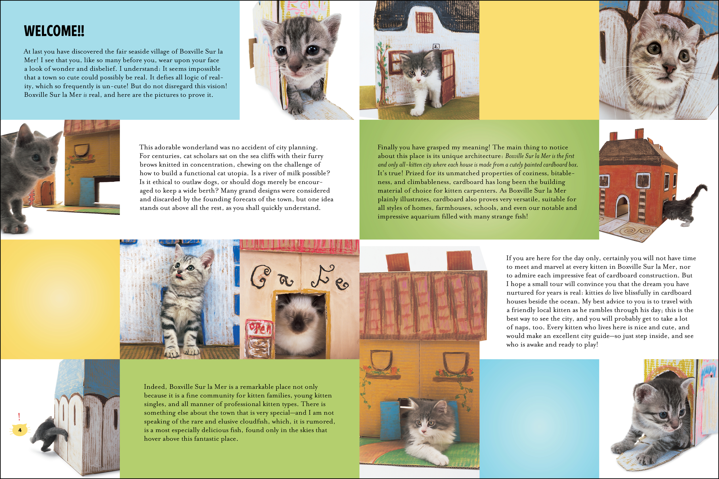 cat house_book_intro-2.jpg