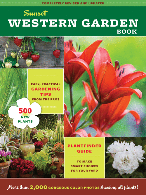 Sunset Western Garden Book Tracy Sunrize Johnson