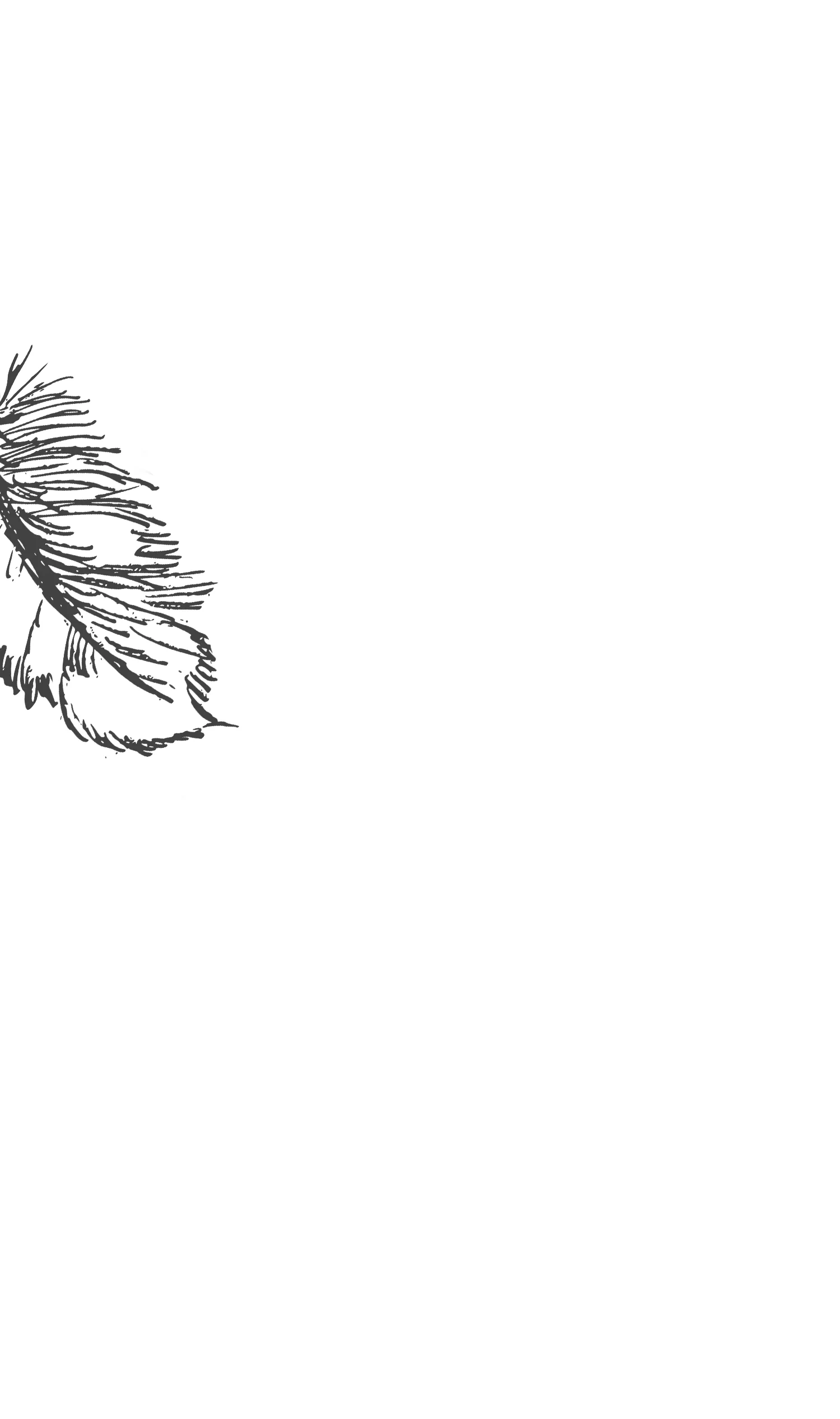 About-BackgroundV2(1).jpg