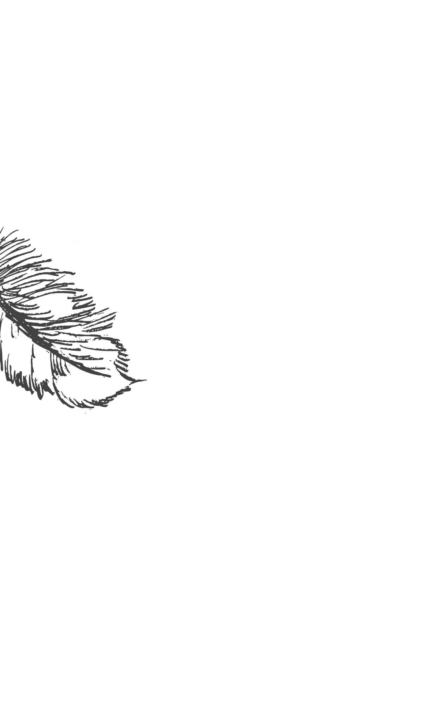 About-Background V3.jpg