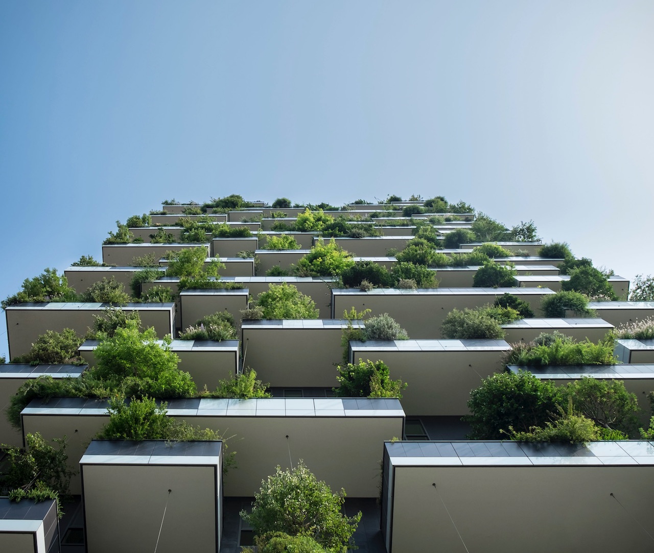Nature and Building Blog Thumbnail.jpg