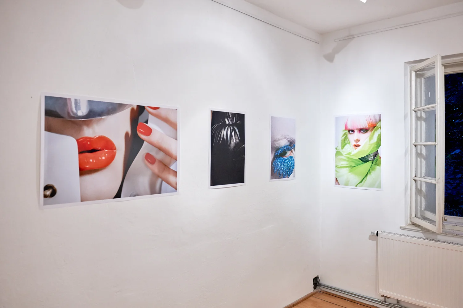 Daniella-Hehmann -Photography-Exhibition-Species-Wiedefabrik-11.jpg