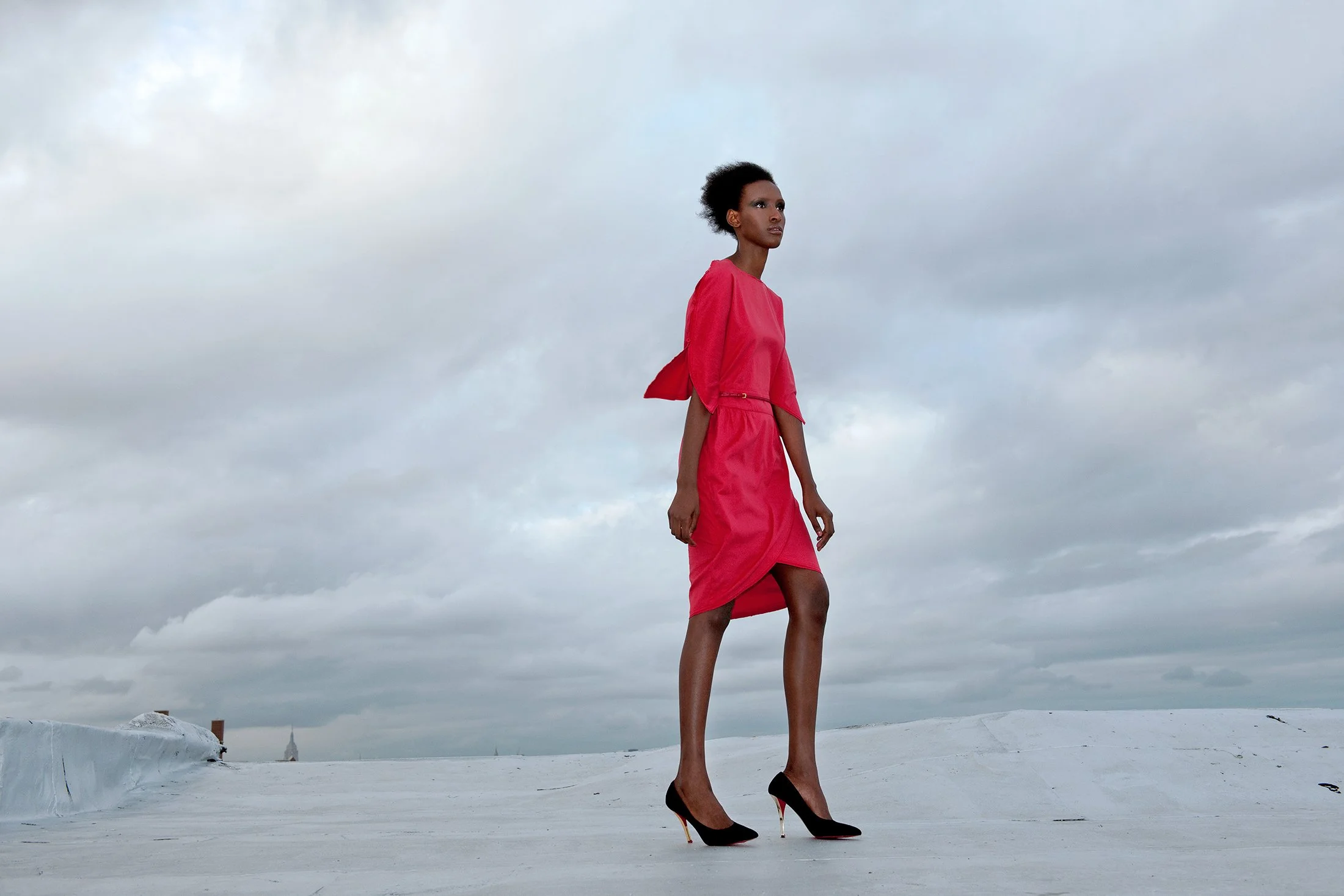 Stunning personal fashion editorial by photographer Daniella Hehmann featuring model Kadiata Ba in a vibrant pink structural dress, captured against a dramatic overcast sky on a Brooklyn rooftop.