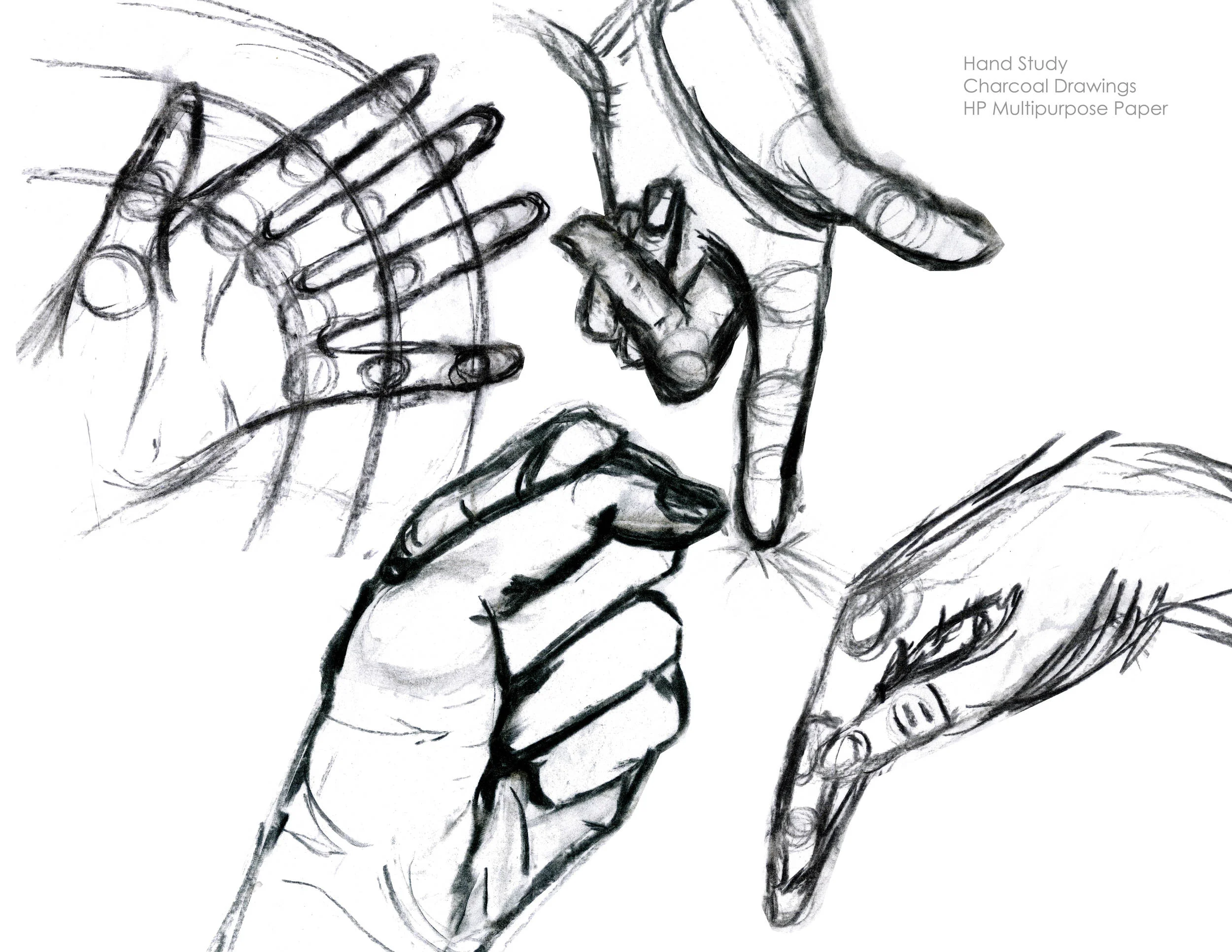 Hand Study.jpg