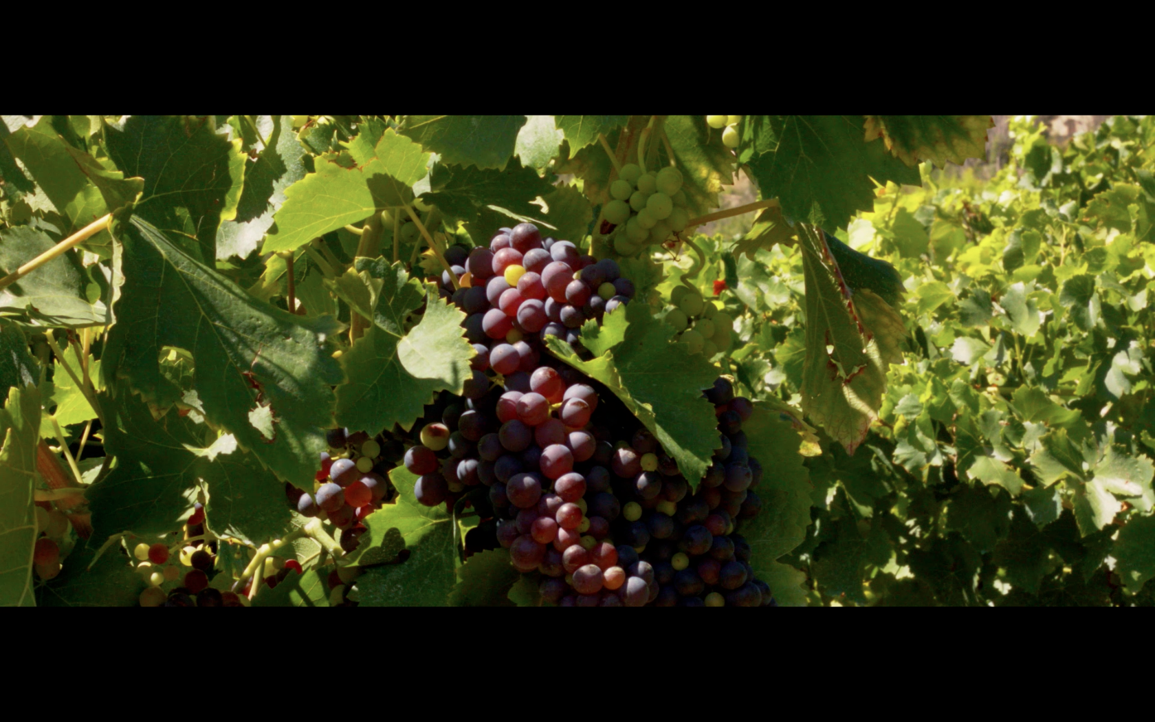 Screen Shot 2015-02-24 at 10.03.10 PM.png