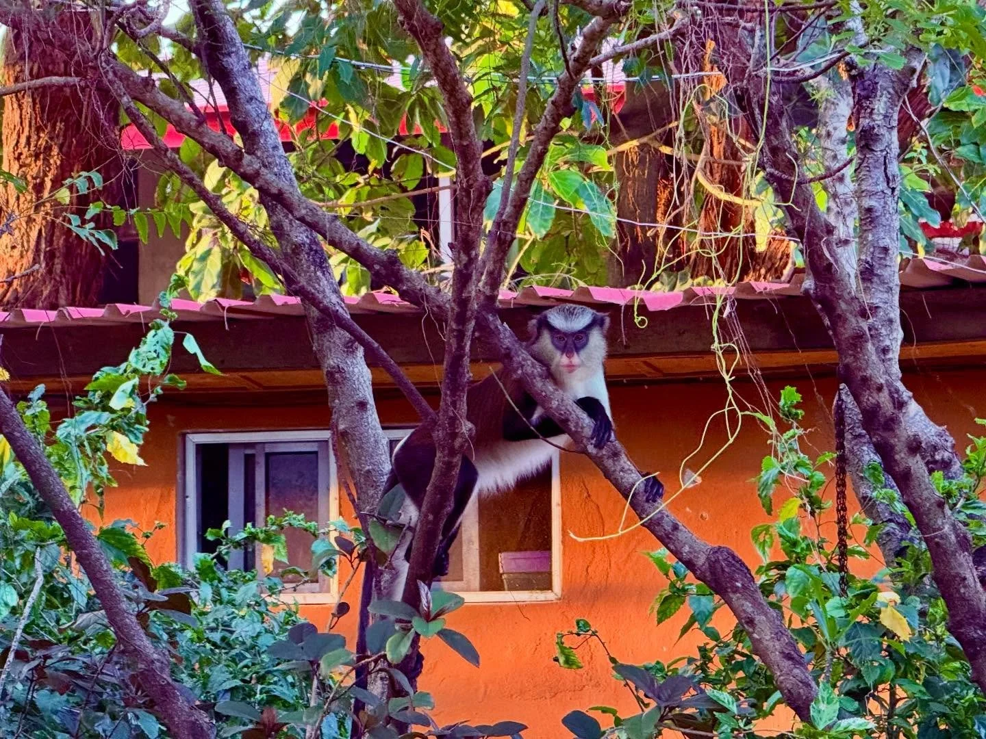 A November in Nigeria V1 #nigeria #photography #life