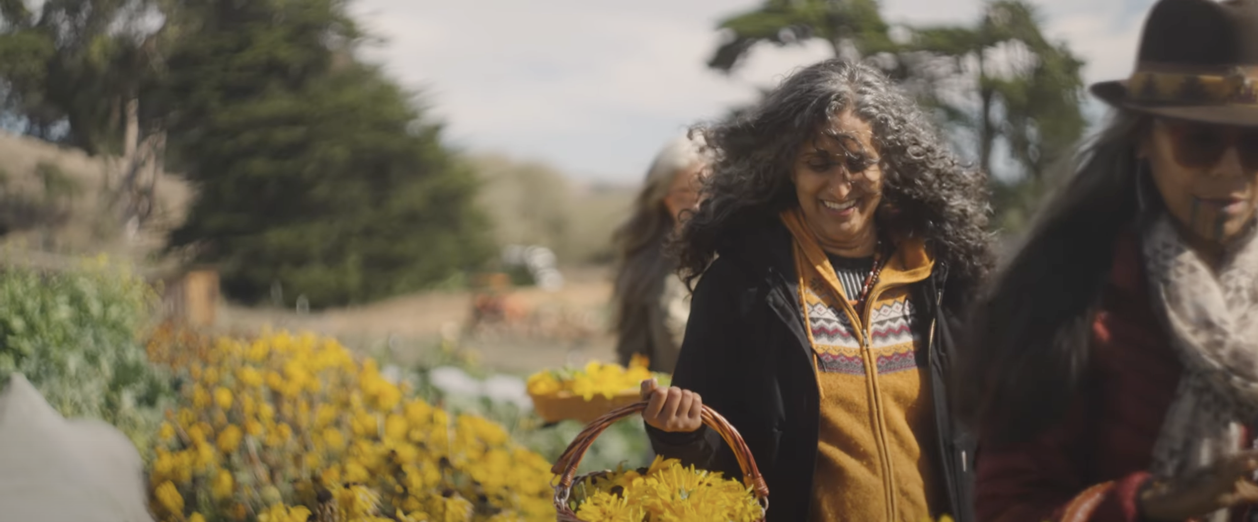 Screenshot 2025-06-10 at 2.42.51 PM.png