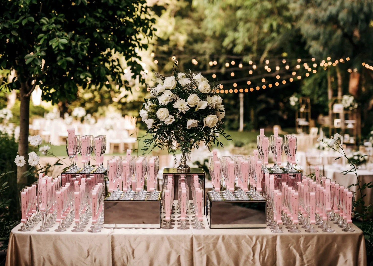 Turchin_20180825_Austinae-Brent-Wedding_386.jpg