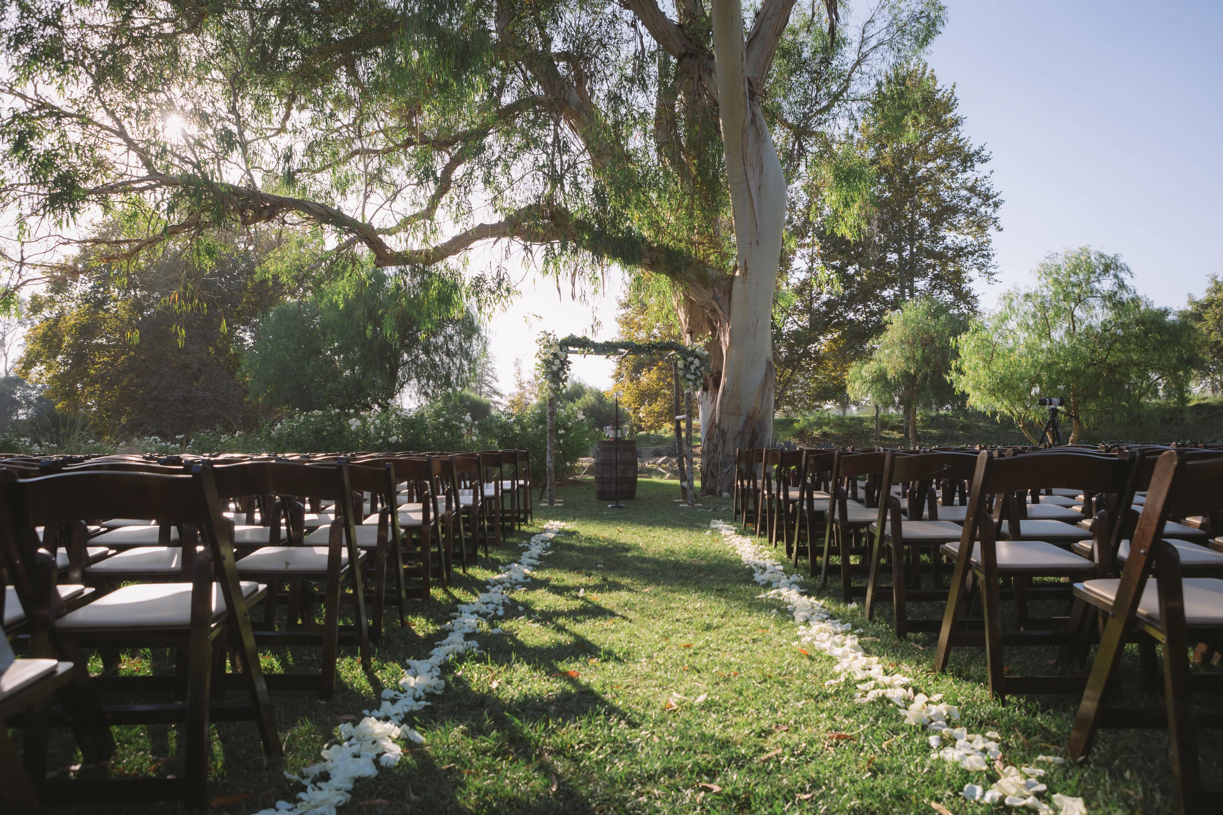 TristanAbigailWedding-298.jpg