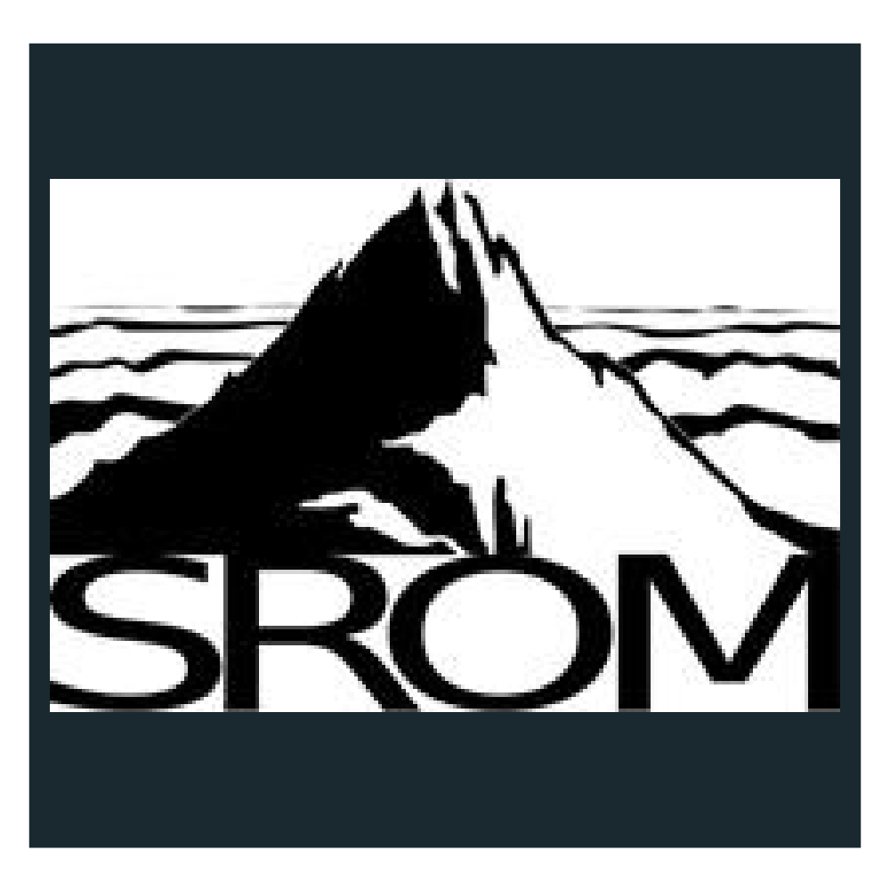 SROM_Icon.png