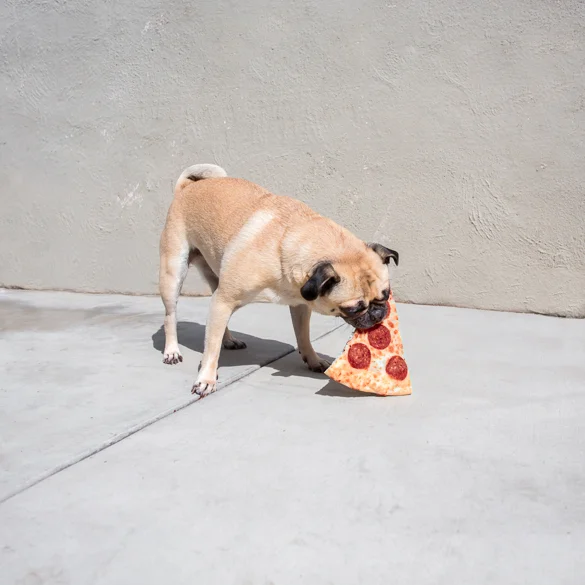 PUG