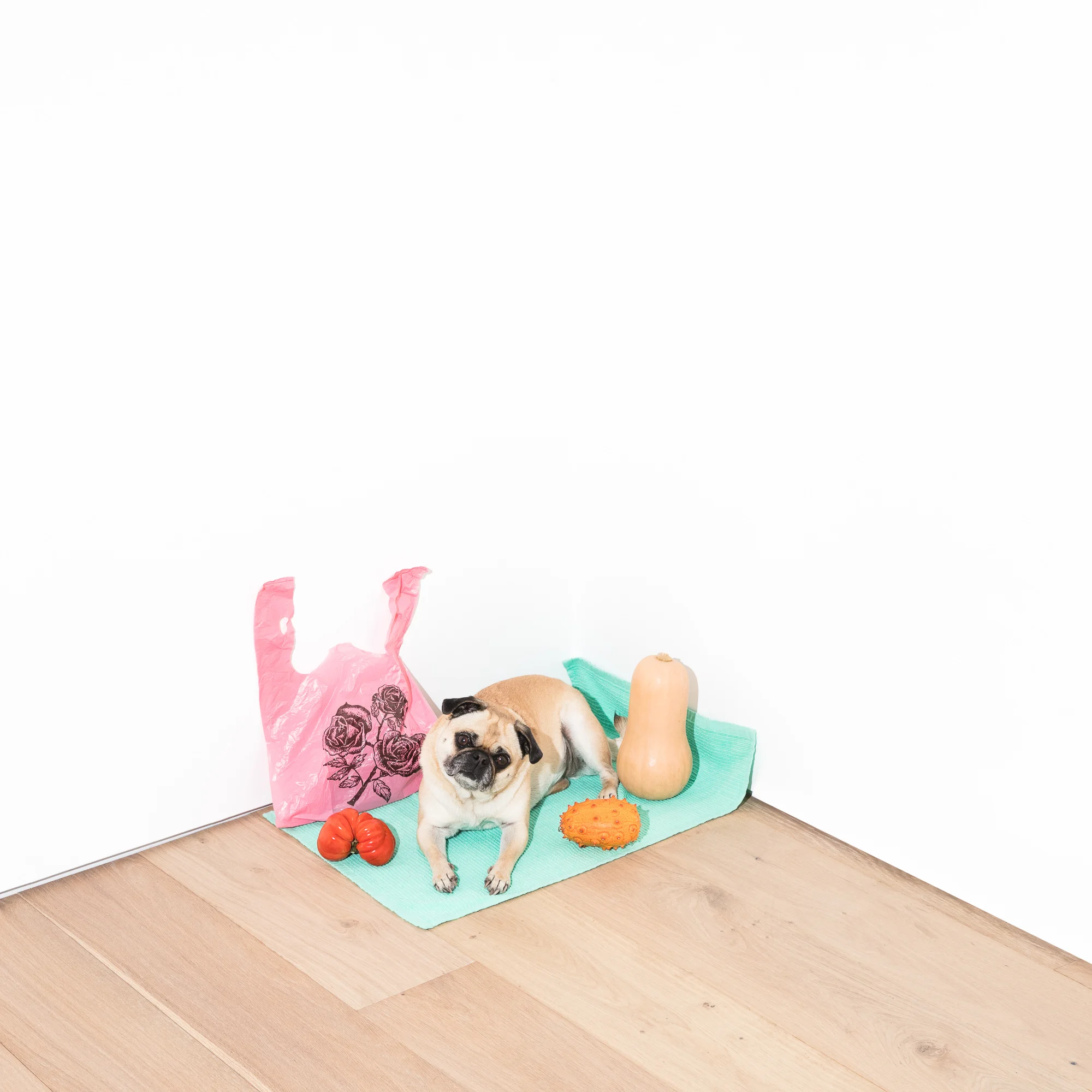 art_pug.jpg