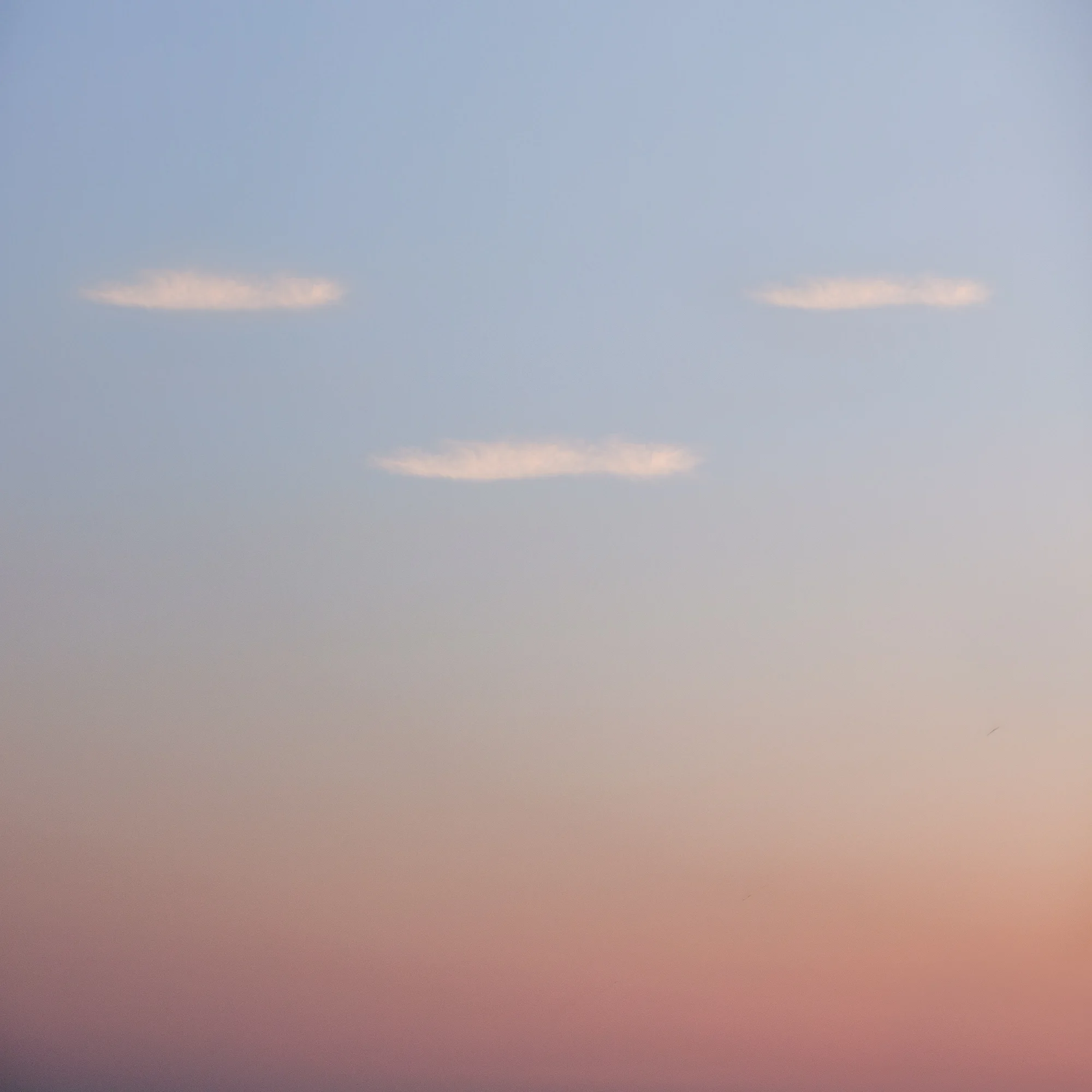 2N3A8379-Edit.jpg