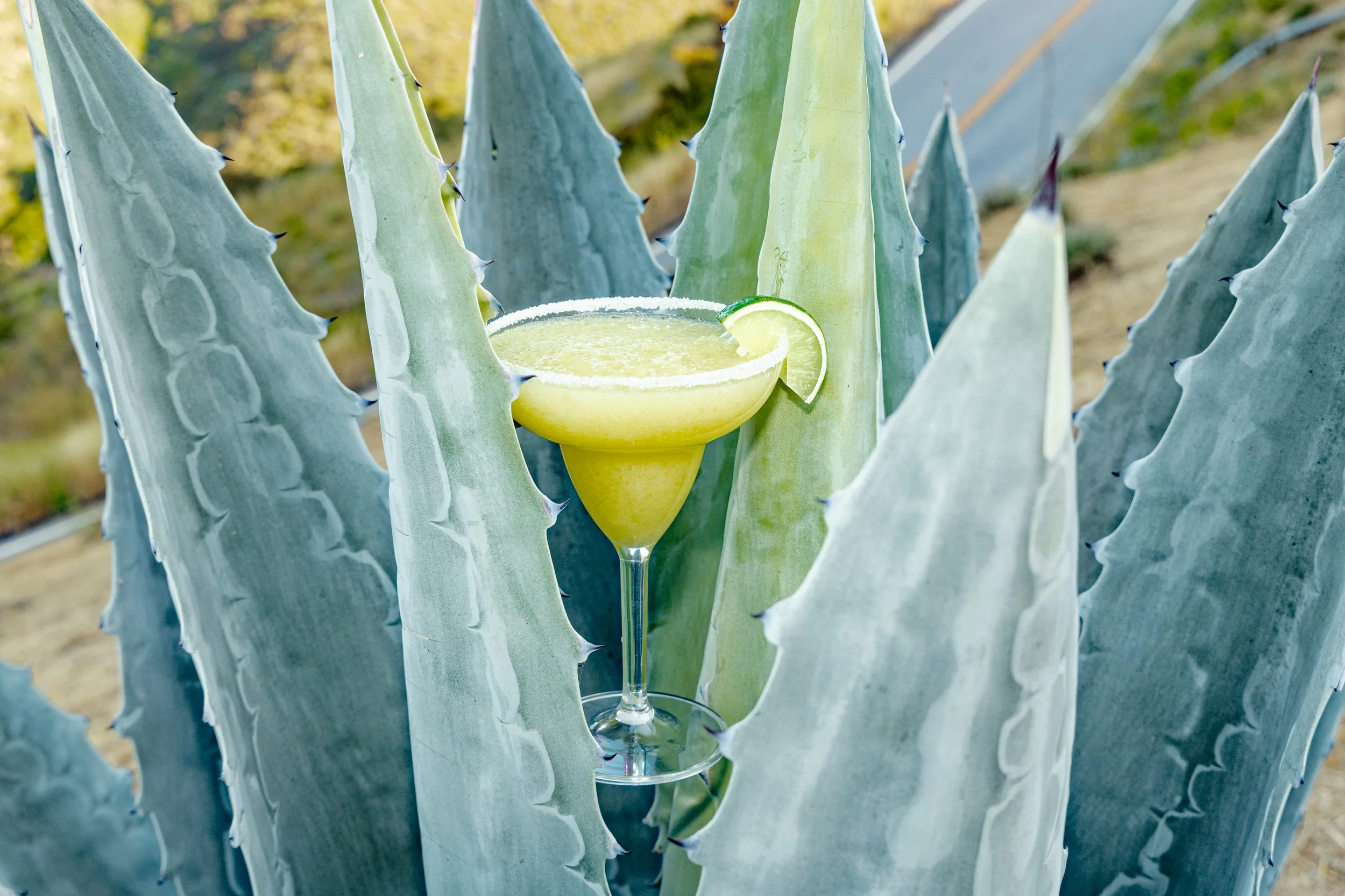Marg_002.jpg