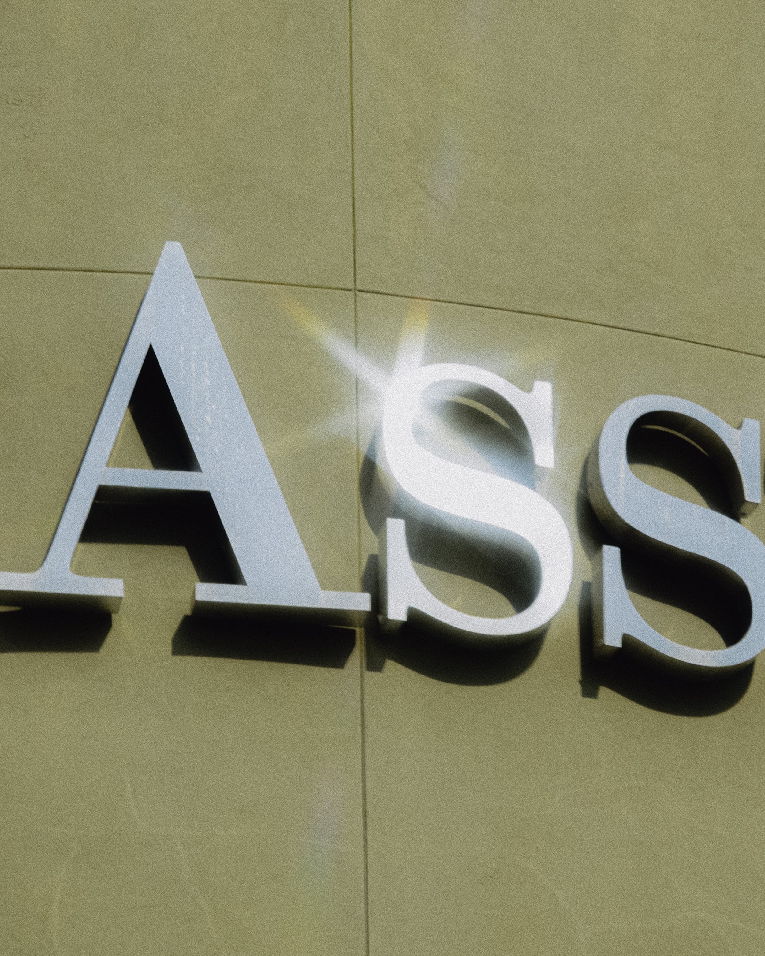 ass_1.jpg