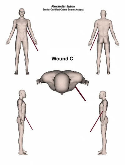 Wound-C-Page.jpg
