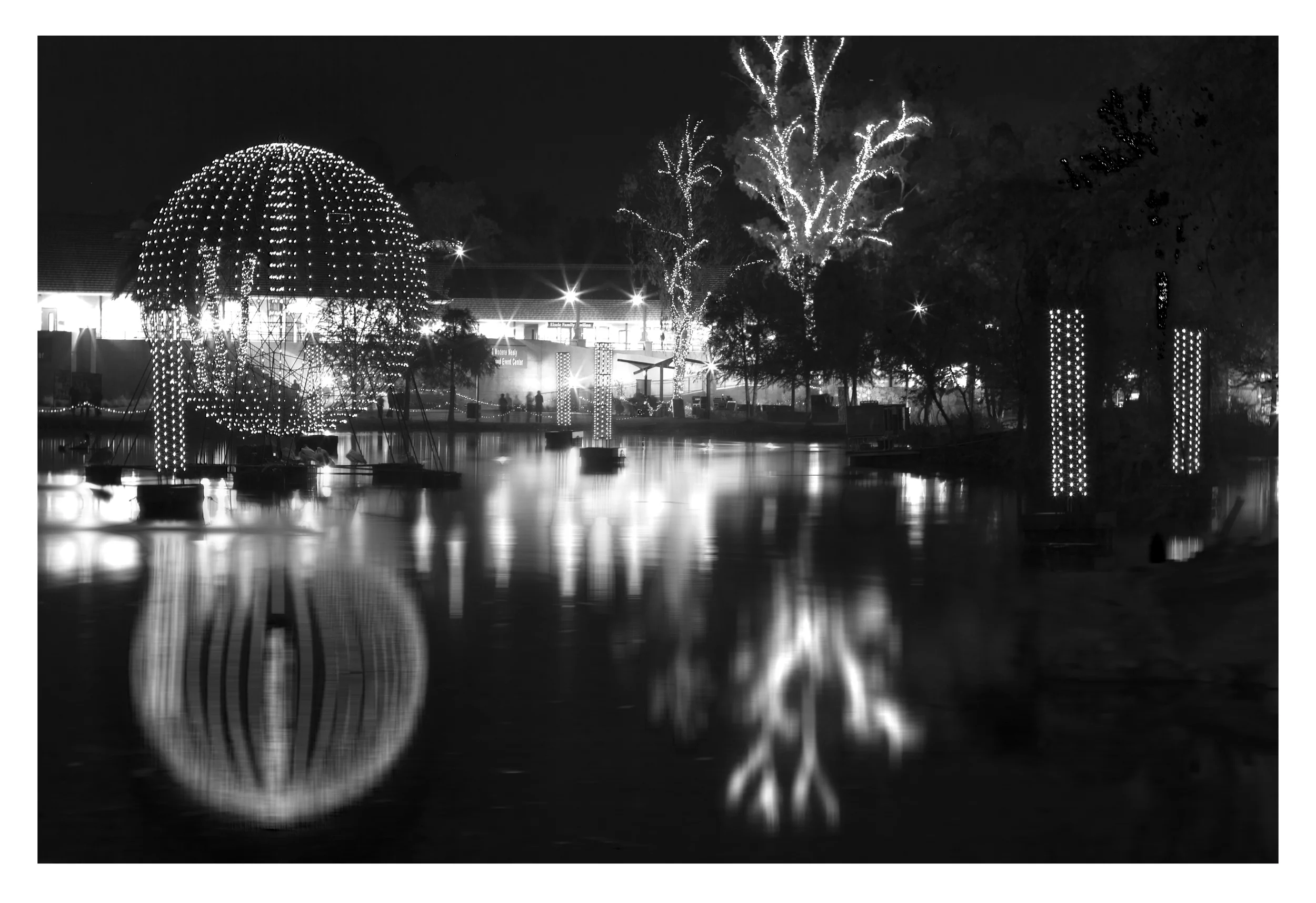 ZOOLIGHTS2012_LIGHTS4.jpg
