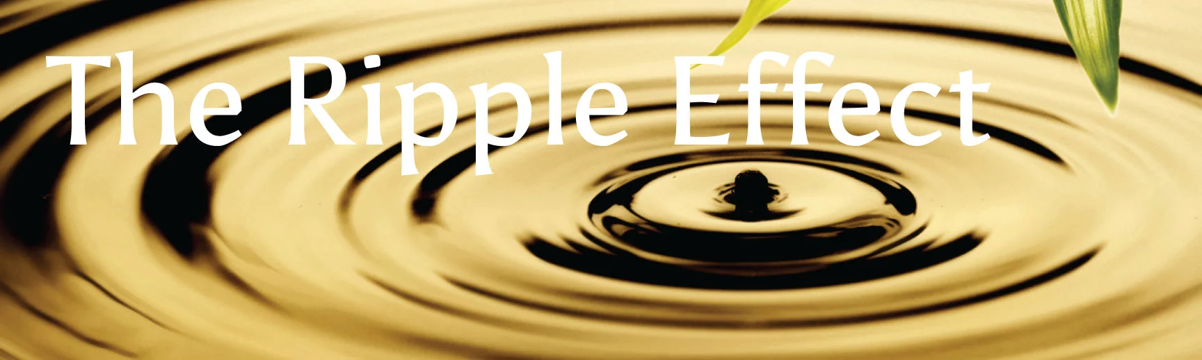 TheRippleEffect.jpg