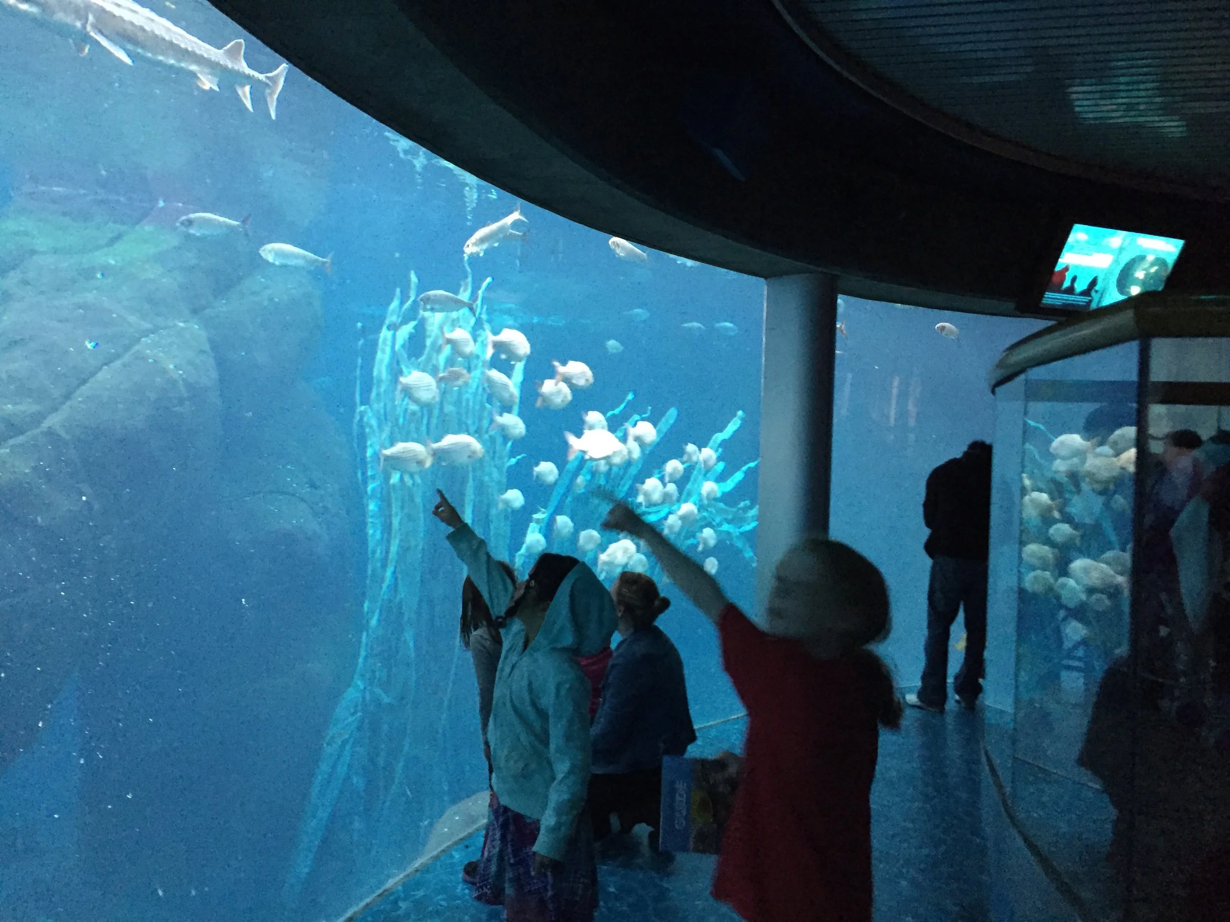 Visiting the Montreal Biodome — Kids in the Capital