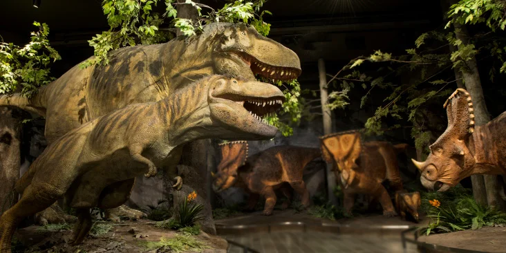 Canadian Museum of Nature