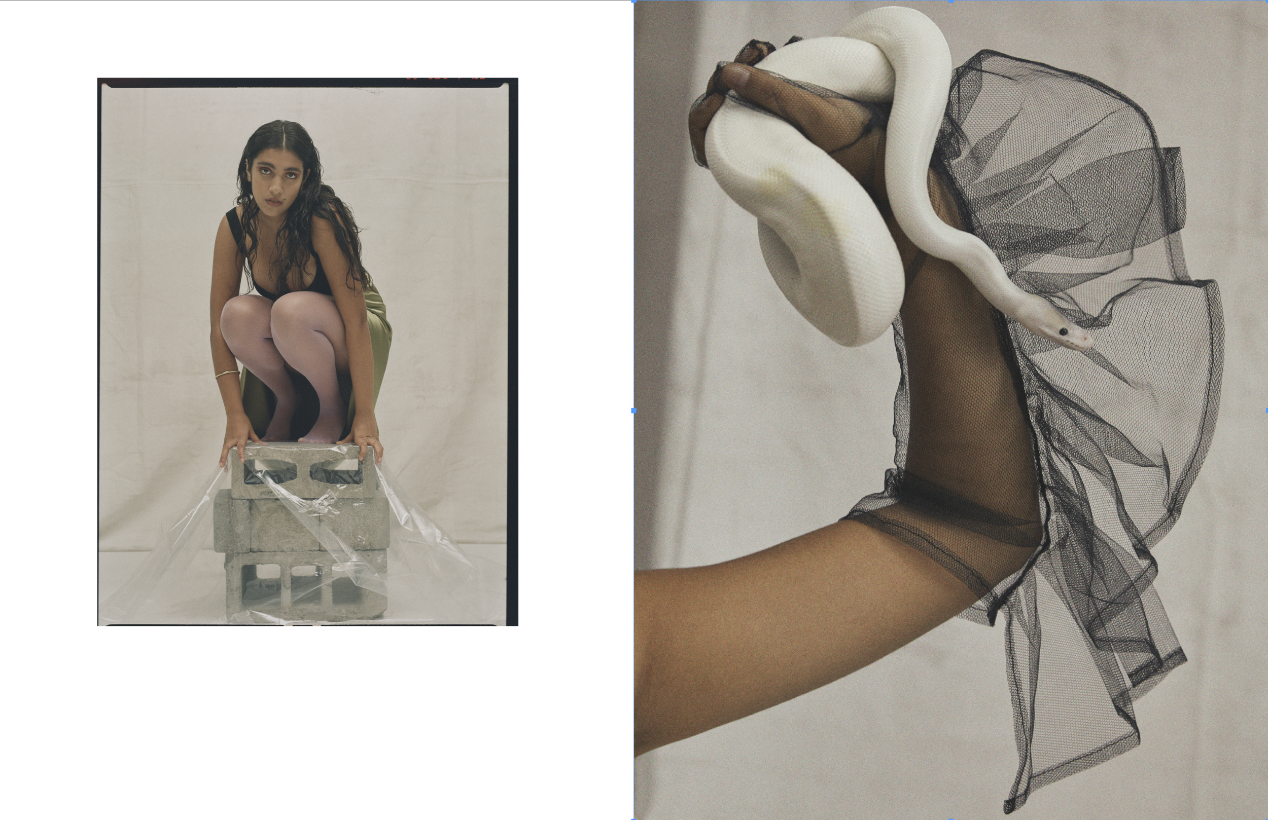 Screen Shot 2020-12-28 at 9.50.53 PM.png