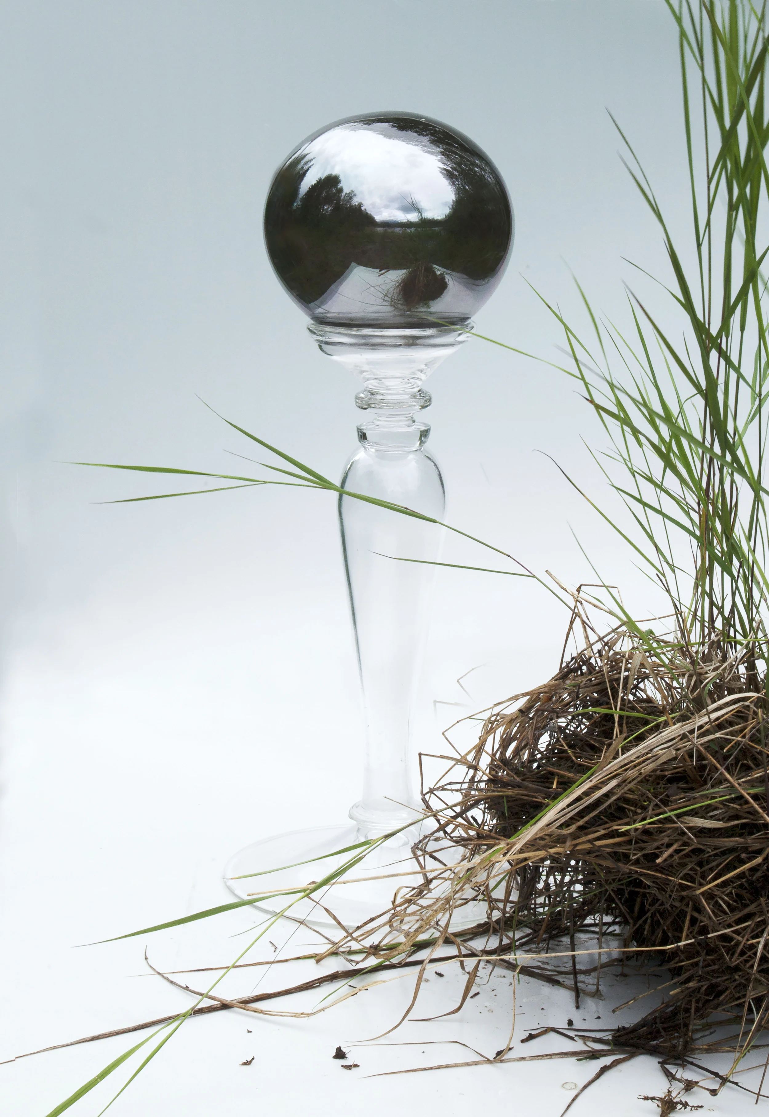 Gazing Ball, Beaver Dam, Lake Clark, AK