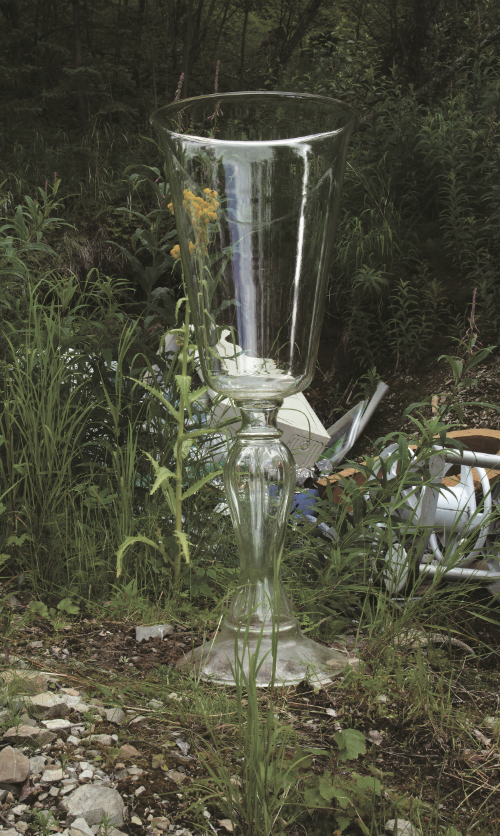 Chalice with Detritus, Lake Clark, AK , 2014, 58" x 38.5", c-print mounted to aluminum, gloss laminate, edition of 3