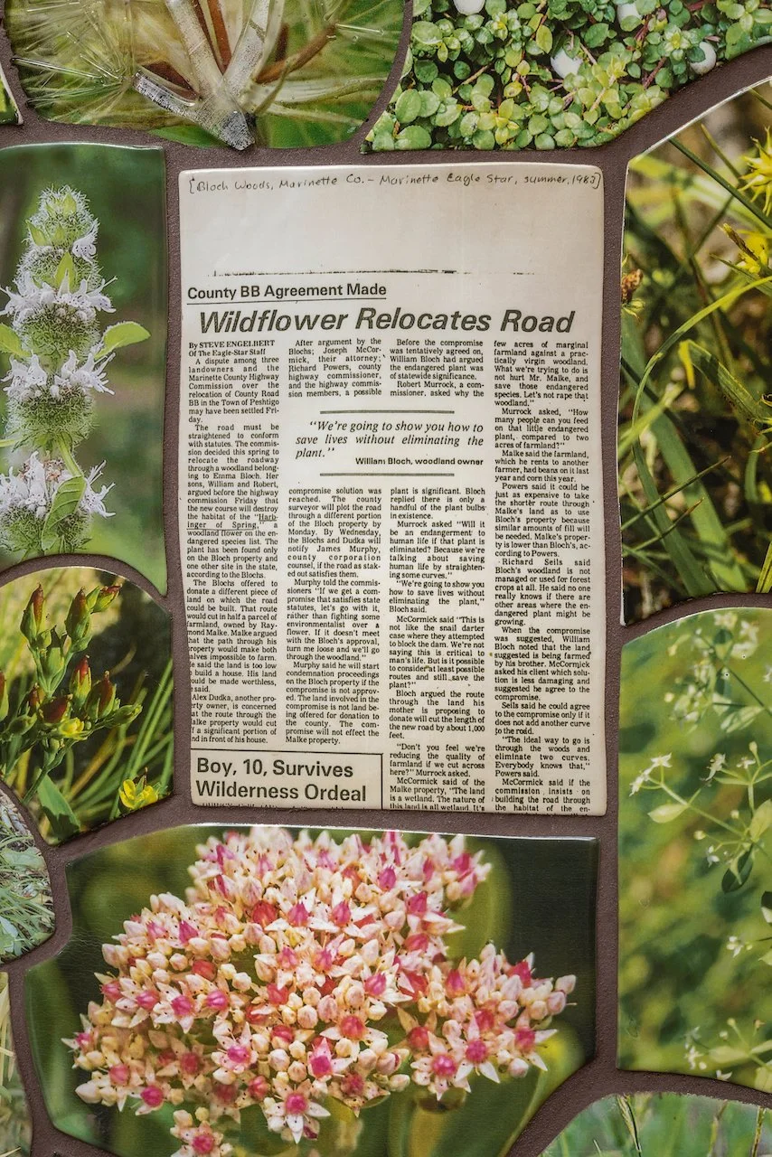 John Michael Kohler Arts Center Commissions Wild Madder