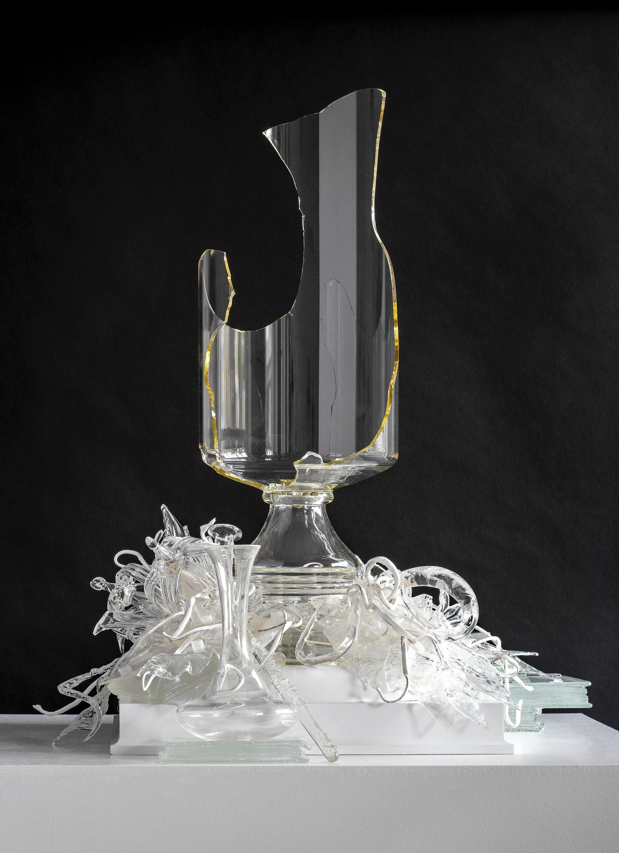 New Bedford Art Museum: Vanishing Ecologies: Speculative Futures