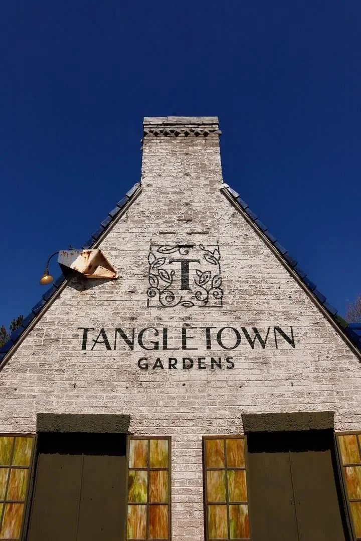 tangle-town-gardens-sign-painting-minneapolis.JPG