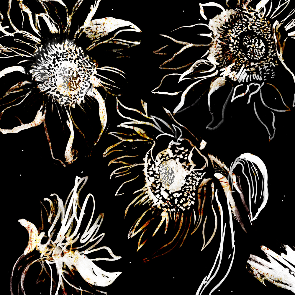 sunflower_kw_web.jpg