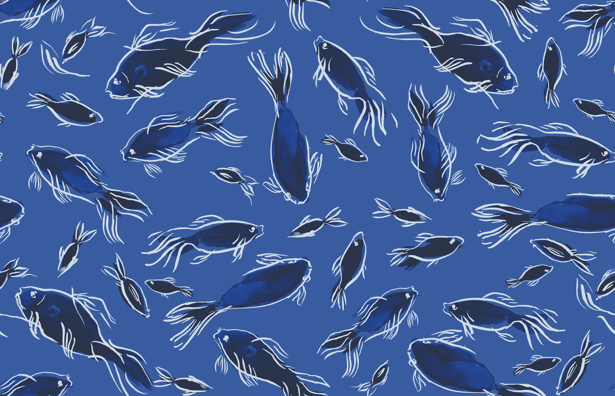 Vendom_CoyFish_Summer2018.jpg