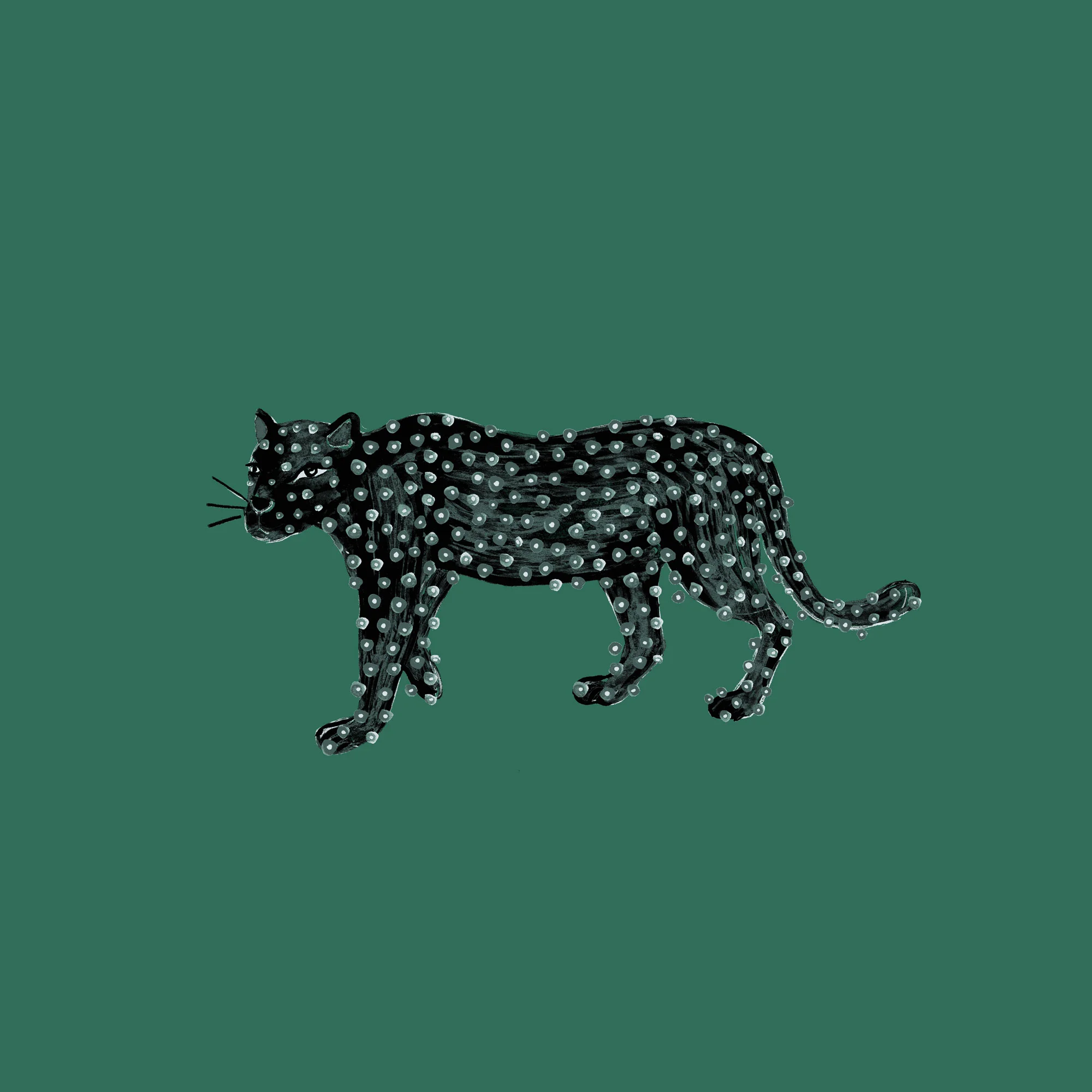 Opalhouse Panther Summer 2018