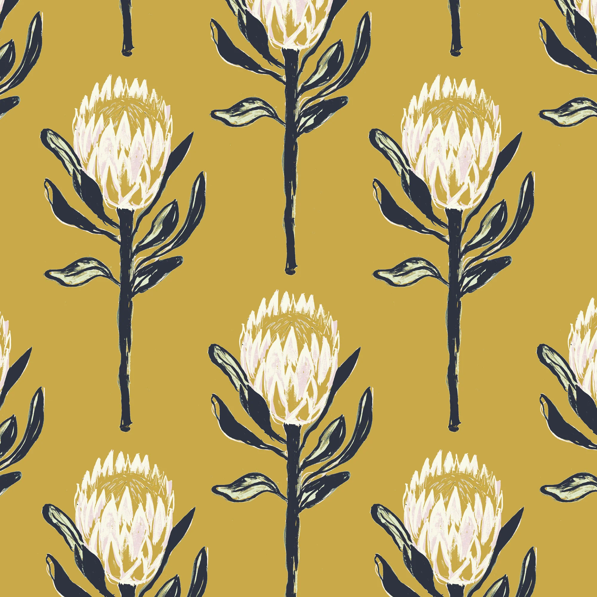 Protea Summer 2018