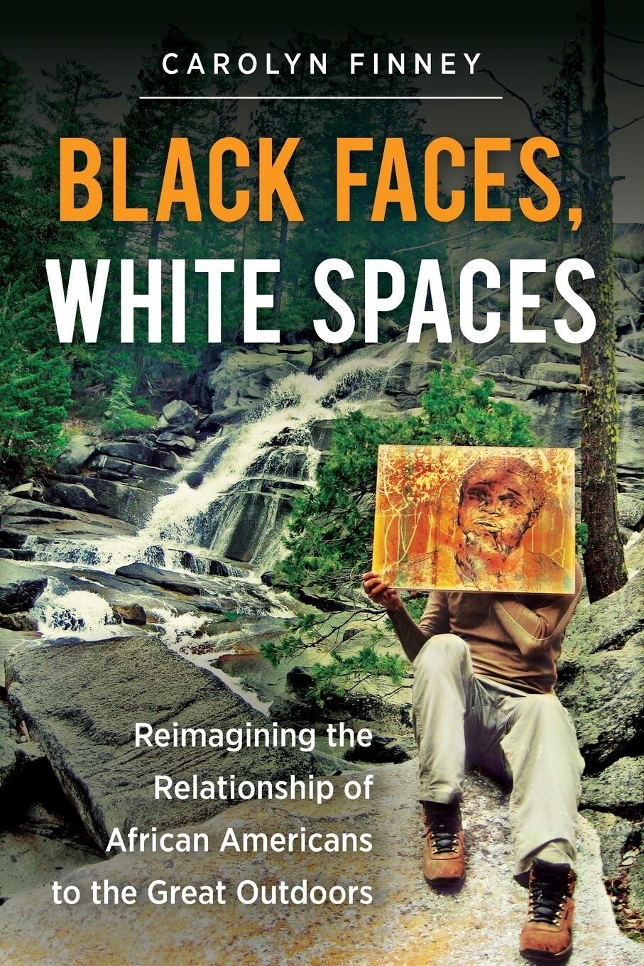 Black Faces, White Spaces by Carolyn Finley