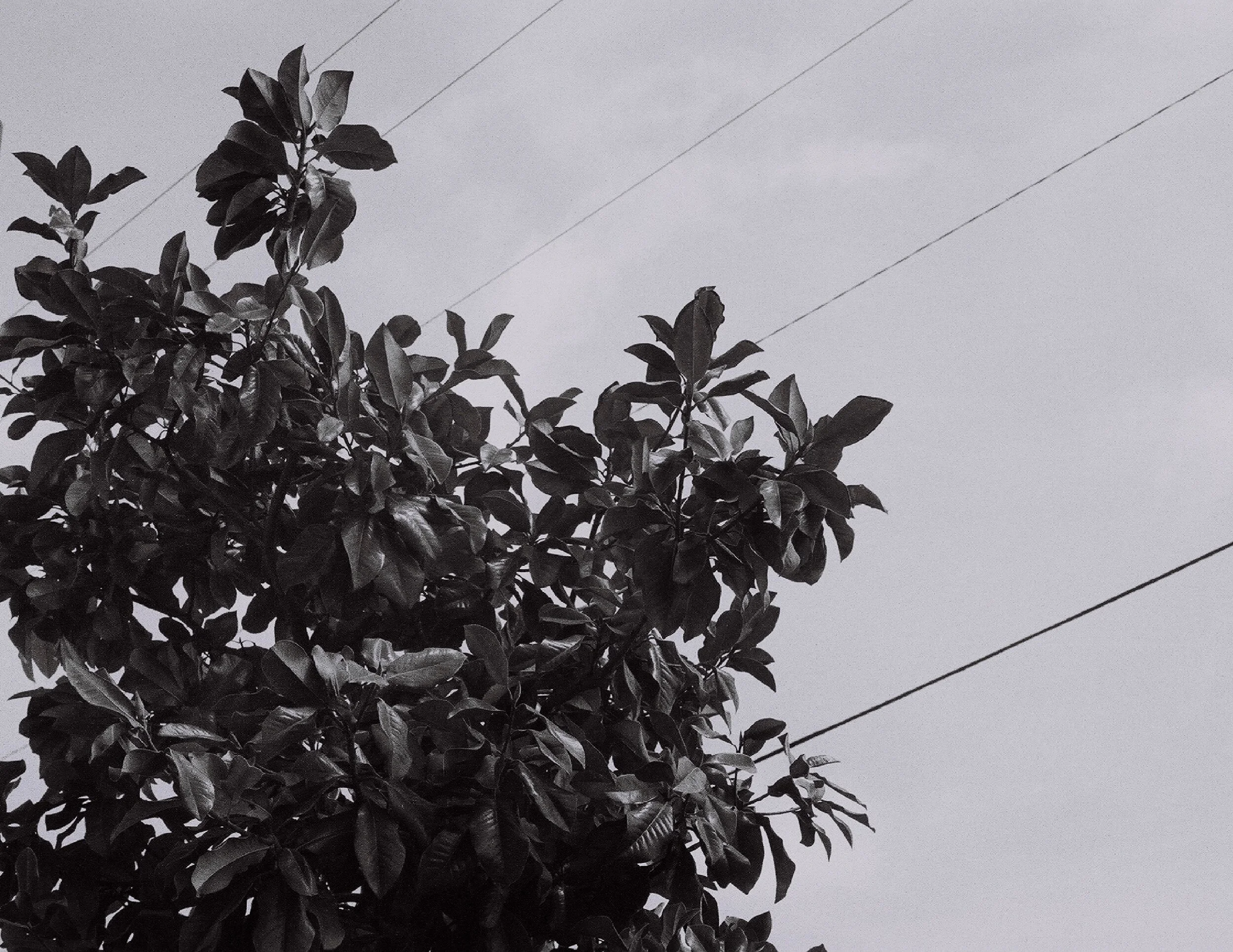 1-april15th_film00.jpg