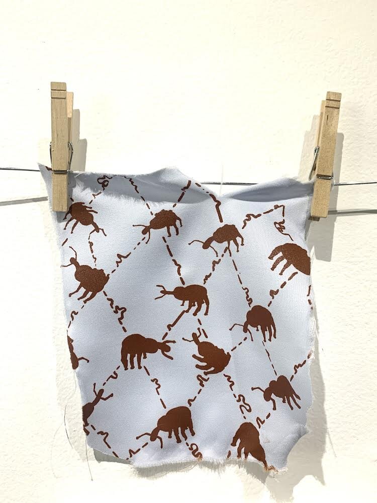 whole gang here (water)