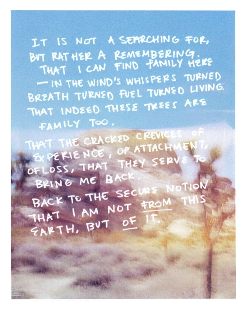 what the wind helped me remember.jpeg