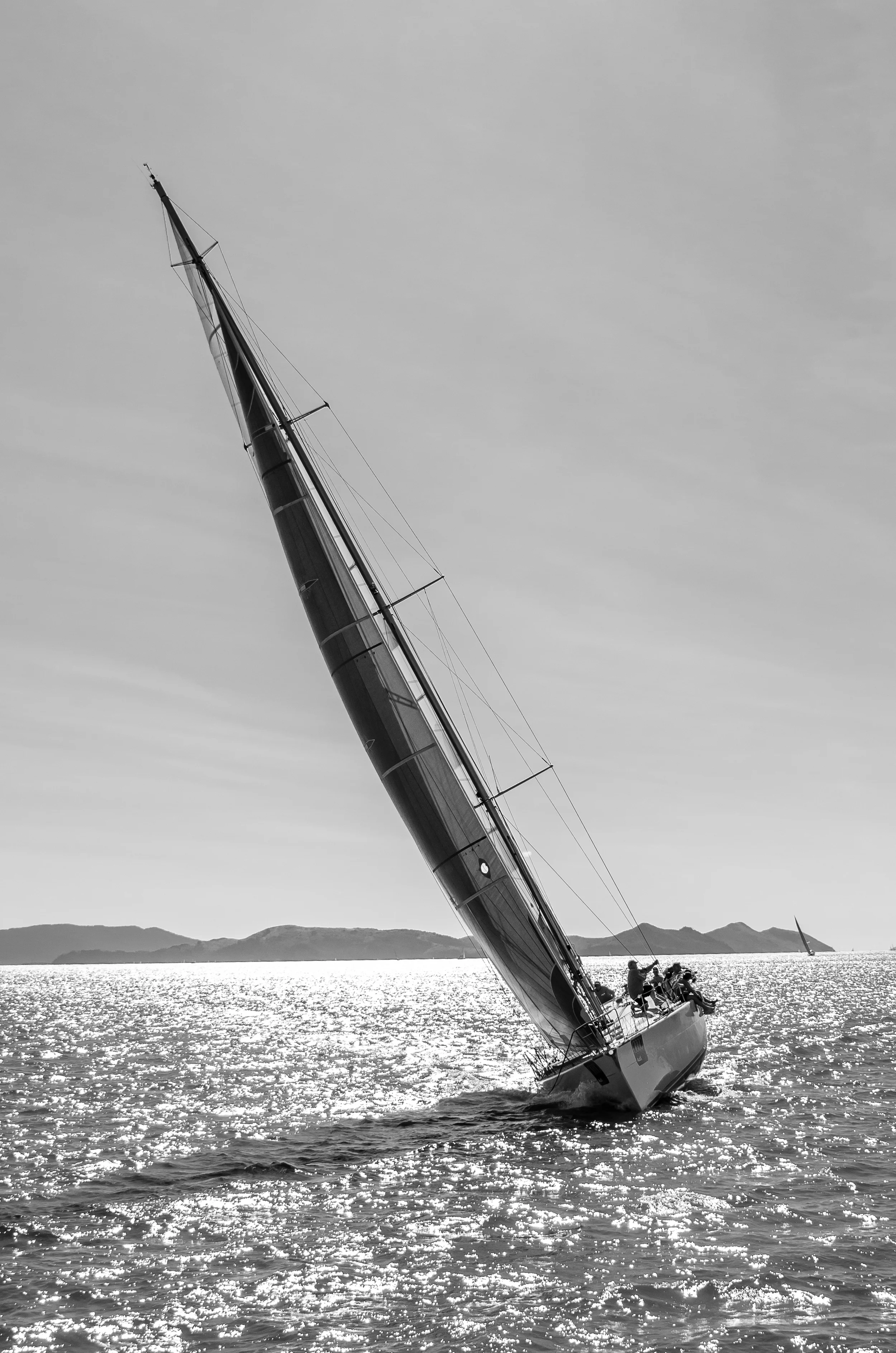 DSC_7453.jpg